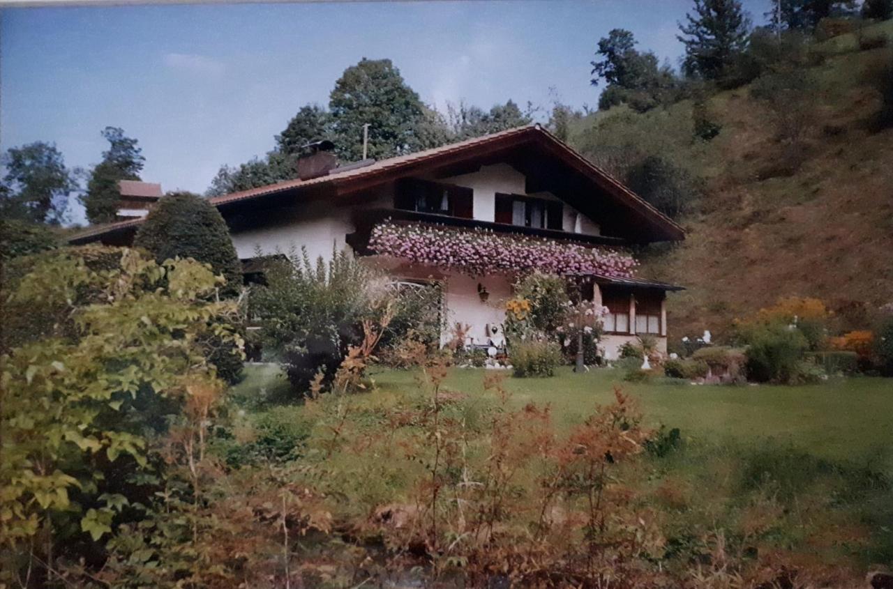 Ferienwohnung Rutz Inkl. Chiemgaukarte 鲁波尔丁 外观 照片